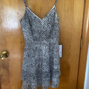 Grey Scaled Dress